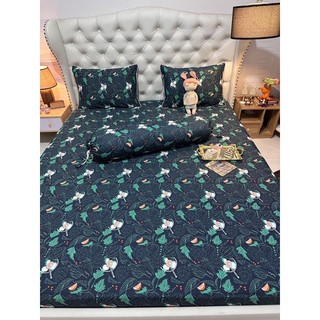Bộ 4 drap/ga áo gối thun siêu lạnh thái latico