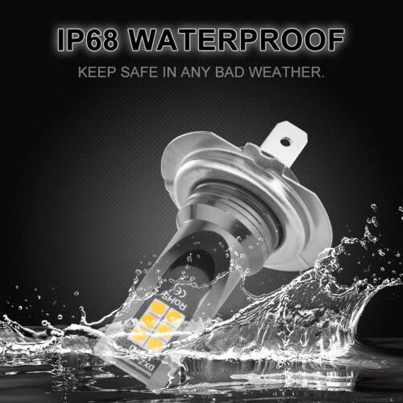 Đèn Pha Siêu Sáng H1 / H3 / H4 / H7 24W 6000K Chất Lượng Cao Cho Xe Hơi