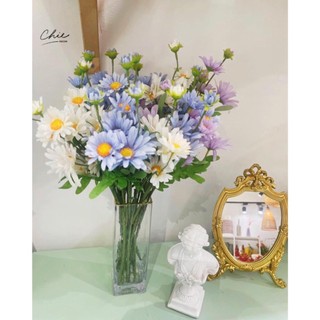 Cúc họa mi decor phòng cực xinh