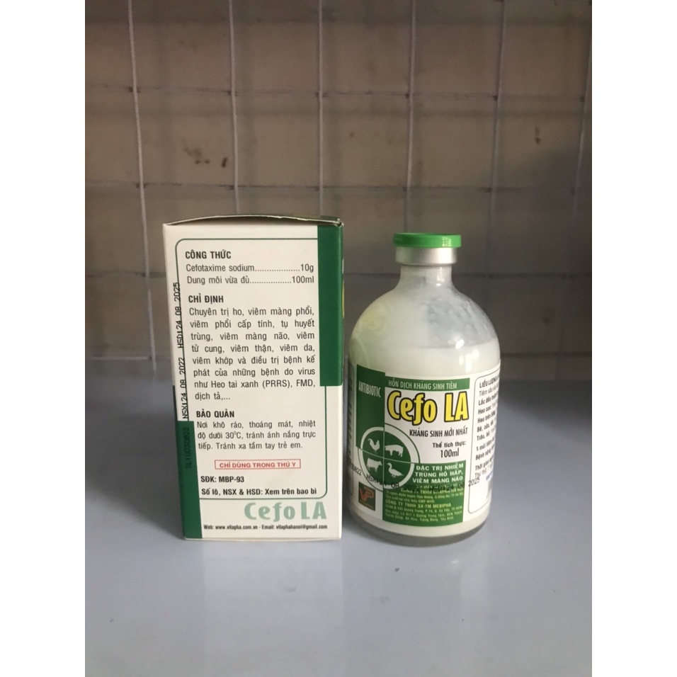 Thú y, cefo LA dùng cho chó mèo, gia súc