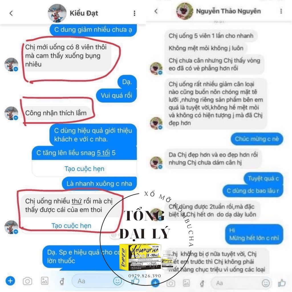 Trà viên Phan tả diệp mẫu mới chuyên cho cơ địa khó giảm