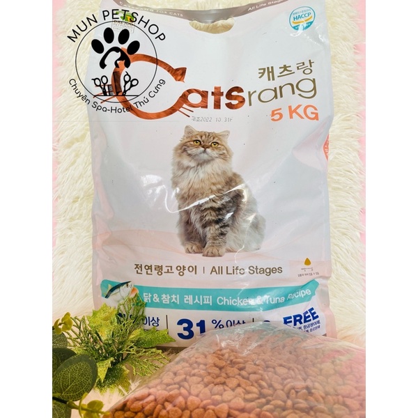Hạt Catsrang 1kg-5kg