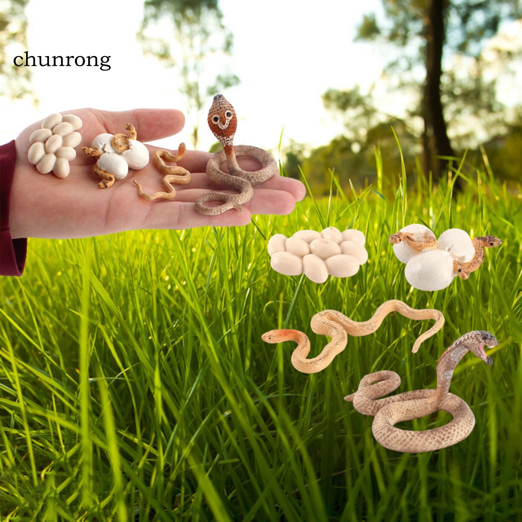 Cr Mô Hình Rắn Đồ Chơi Bằng Nhựa Cho Bé