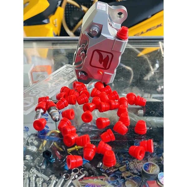 Cao su ốc gio bem bồ