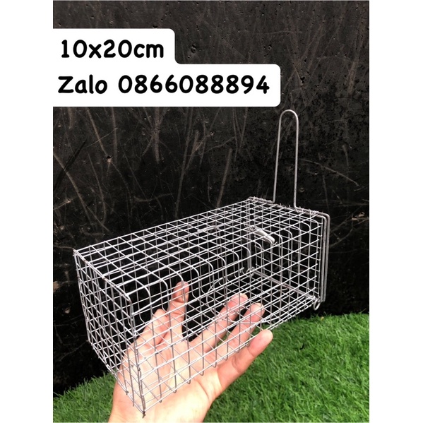 Lồng bẫy chuột,sóc.10x20 chì