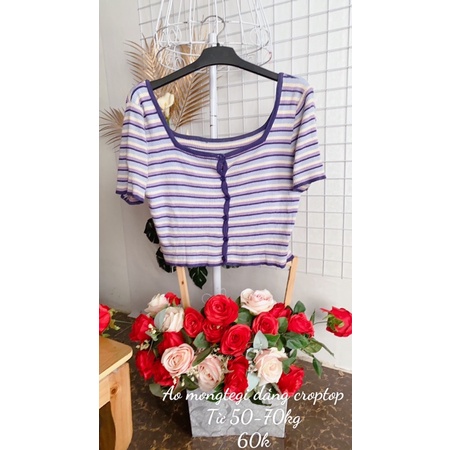 Áo mongtegi dáng croptop