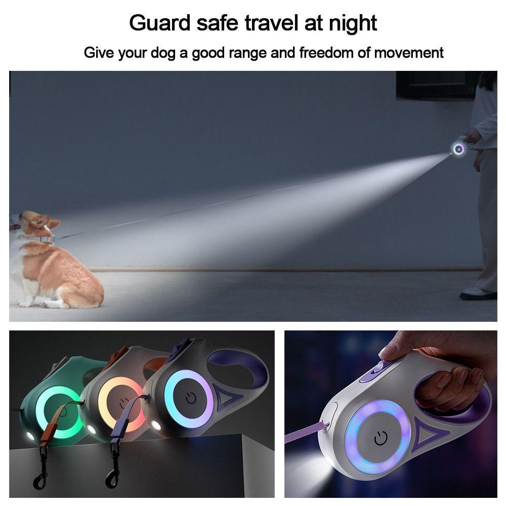 Dây Dắt Thú Cưng Đi Dạo Bằng Nylon