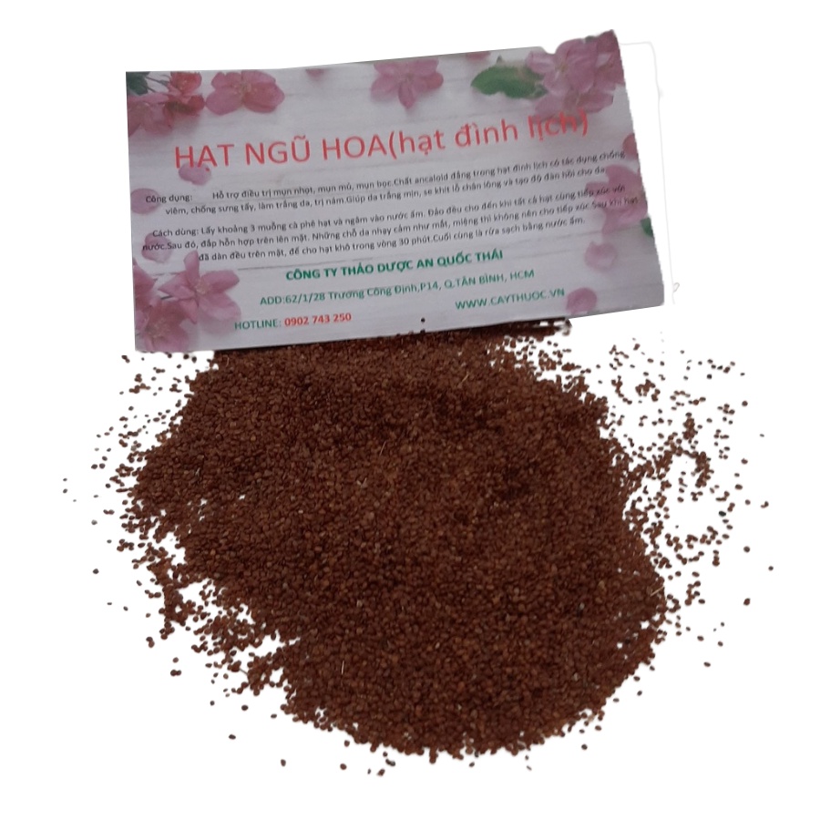 100g Hạt Ngũ Hoa (Đình Lịch) Sạch, Nở Đều, Ngũ Hoa Hạt  Đắp Mặt Nạ Sạch Mụn, Mask Ngũ Hoa Nguyên Chất Thiên Nhiên