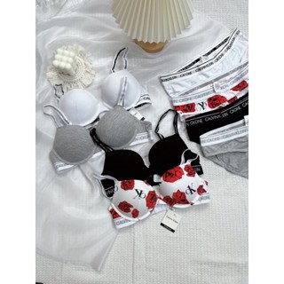 Bộ đồ lót nữ  CK đệm dày 2cm có gọng . Áo ngực xuất xịn cotton