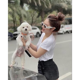 [227] Áo phông cổ V đơn giản mix (kèm ảnh thật)