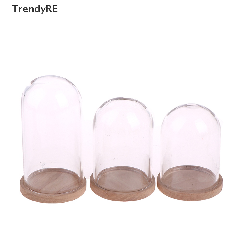 Lọ Kính Thủy Tinh Đựng Hoa Trưng Bày Trang Trí Nhà Búp Bê Tỉ Lệ 1: 12