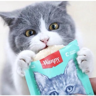 Pate Wanpy 80gr