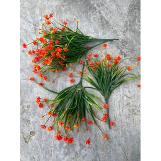 Hoa điểm giả - cụm điểm sen đá