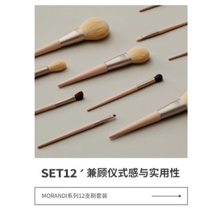 Bộ 12 Cọ Trang Điểm Morandi Lông Thú