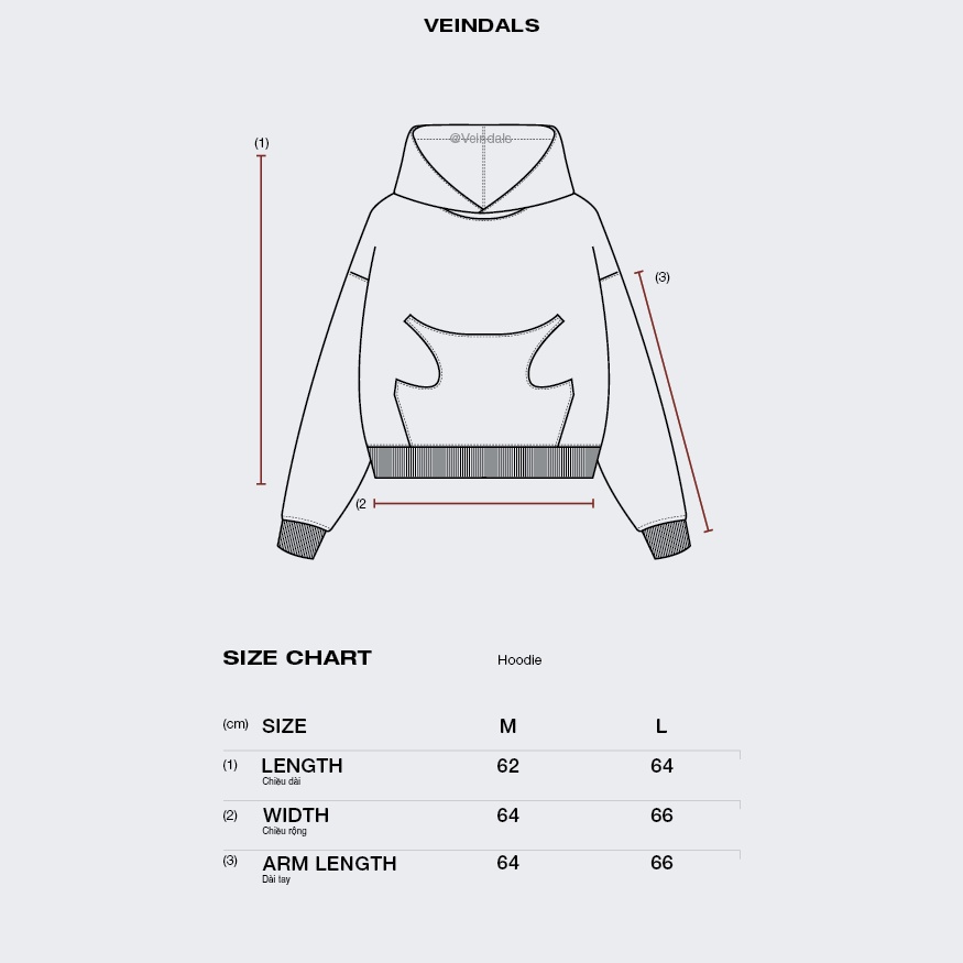 Áo hoodie - PRIVATE PARTY hoodie - veindals - Đen