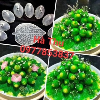 Khuôn trầu cau nhựa