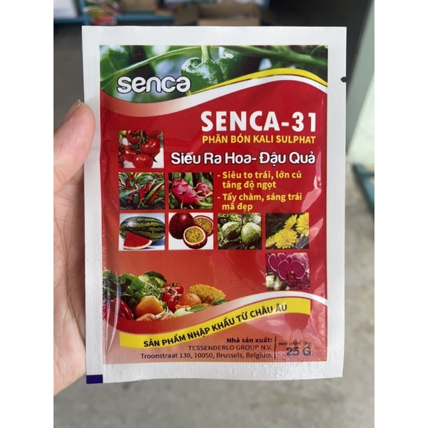 Phân bón kalisulphat SENCA-31 siêu ra hoa - đậu quả siêu to trái, lớn củ, tắng độ ngọt. Tẩy chàm, sáng trái,mã đẹp.
