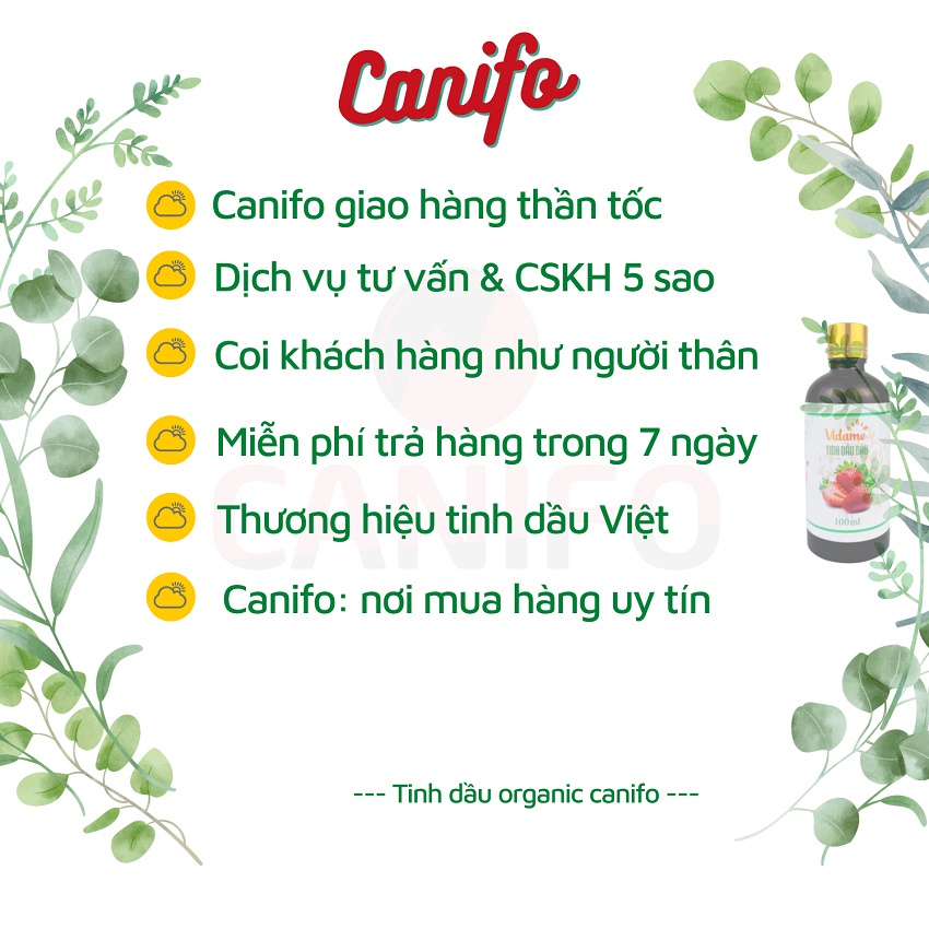 Tinh dầu sen vàng 100ml Canifo đạt tiêu chuẩn kiểm định - Tinh dầu hoa sen nguyên chất, xông thơm nhà, khử mùi hiệu quả
