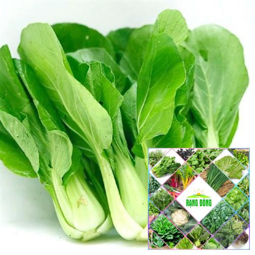 Gói 10 gr hạt giống cải chip