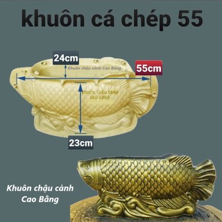 Khuôn đúc chậu hình cá chép dài 55