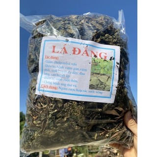 Lá đắng, lá dạ dày, lá cơm kìa