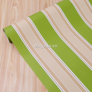Giấy dán tường kẻ sọc [AA0019]