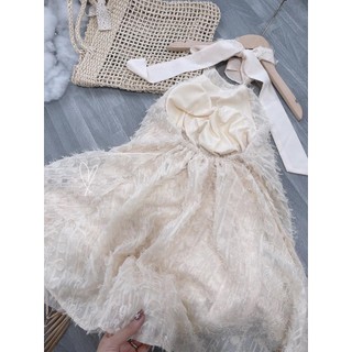 Đầm cổ yếm hở lưng lông vũ