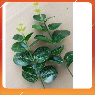 Cành lá táo 1 nhánh điểm hoa sáp,hoa lụa - Pt3