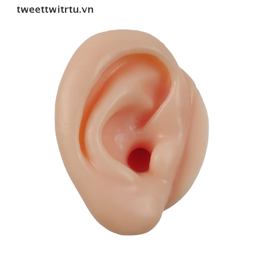 1 / 2 Mô Hình Silicon Dùng Luyện Tập Lấy Ráy Tai Tiện Dụng