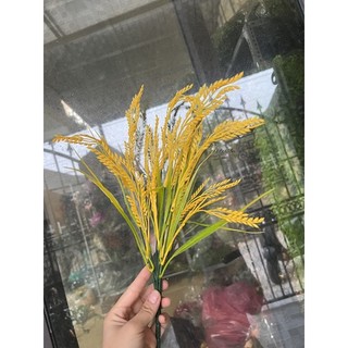 Bông lúa giả - cụm lúa vàng giả
