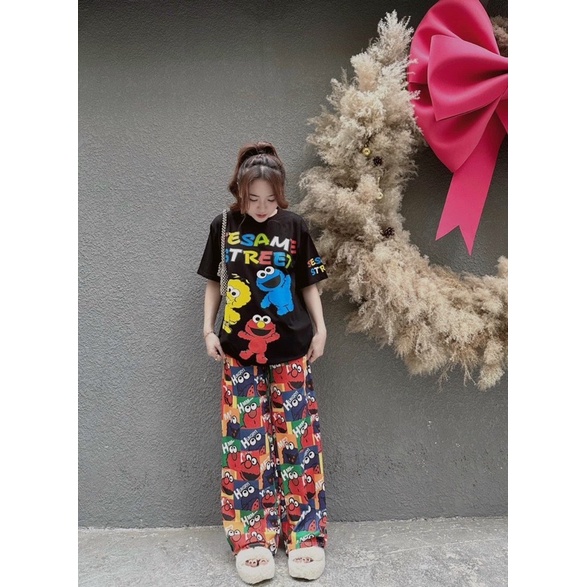 Set áo cotton hoạt hình Sesam Street đáng yêu- Set quần suông áo thun cao cấp - HN Closet