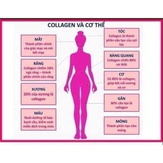 Collagen premium 5000 vip queenbe