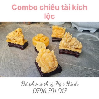 Thiềm thừ + bát tụ bảo + cặp tỳ hưu + long quy - chiêu tài chiêu lộc, bình an may mắn