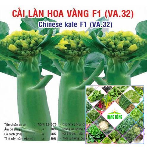 5gr hạt giống rau cải làn hoa vàng