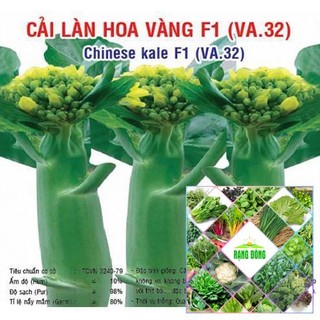 5gr hạt giống rau cải làn hoa vàng