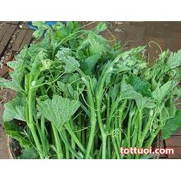 10 Hạt giống bí siêu ngọn mập - 10gram