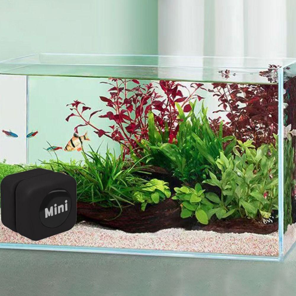 Danilo Cọ Vệ Sinh Bể Cá Bằng Nhựa Không Trầy Xước