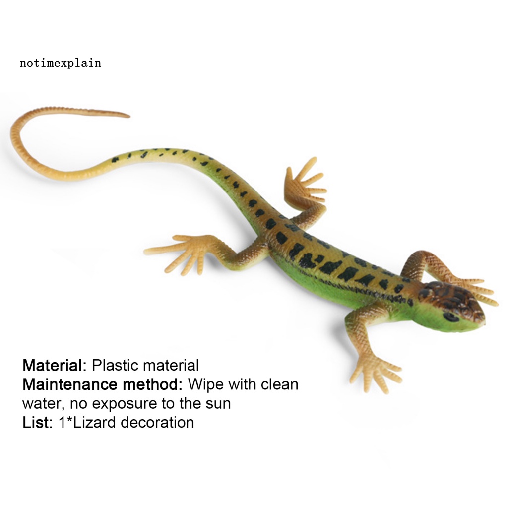 Thằn Lằn Giả Nhiều Màu Trang Trí Nhà Cửa