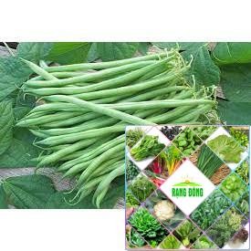 Gói 20 gram hạt giống đậu cove leo hạt tròn HAT F1