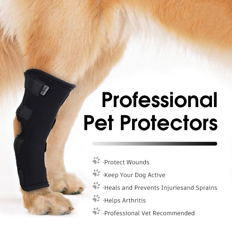 HamshMoc Đai Quấn Mềm Mại Bảo Vệ Vết Thương Chống Bong Gân Có Thể Điều Chỉnh Cho Thú Cưng