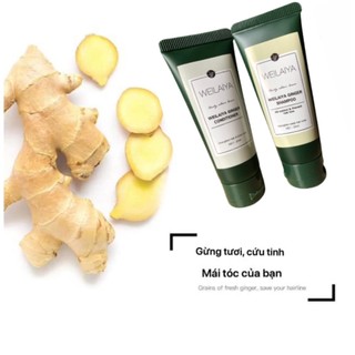 Mini dầu gội xả gừng WEILAIYA