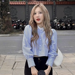 Áo Sơ Mi Kẻ Xanh Pha Cổ Trắng Chất Mềm Mát [Ảnh Thật]