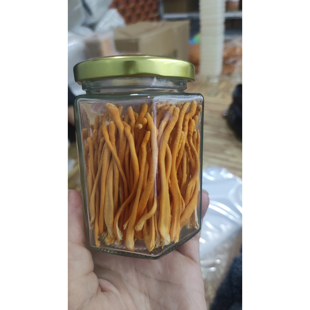Nấm đông trùng hạ thảo khô sấy thăng hoa cao cấp lọ 10g