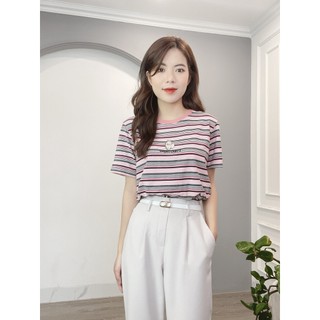 Áo Phông Kẻ Thêu Everything Và Họa Tiết Thỏ Min House