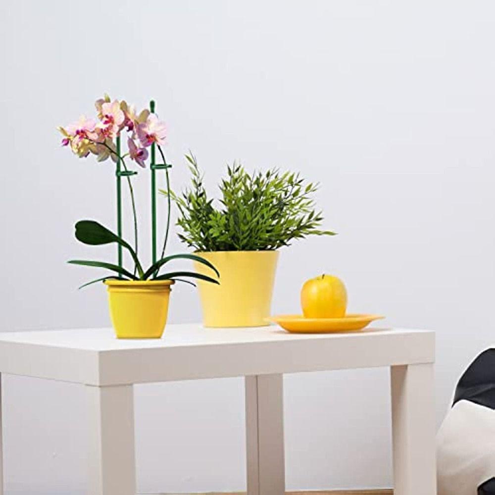 Bộ 10 Vòng Hỗ Trợ Trồng Cây Dây Leo Tái Sử Dụng Tiện Lợi