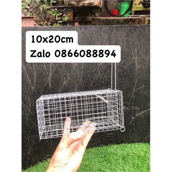 Lồng bẫy chuột,sóc.10x20 chì