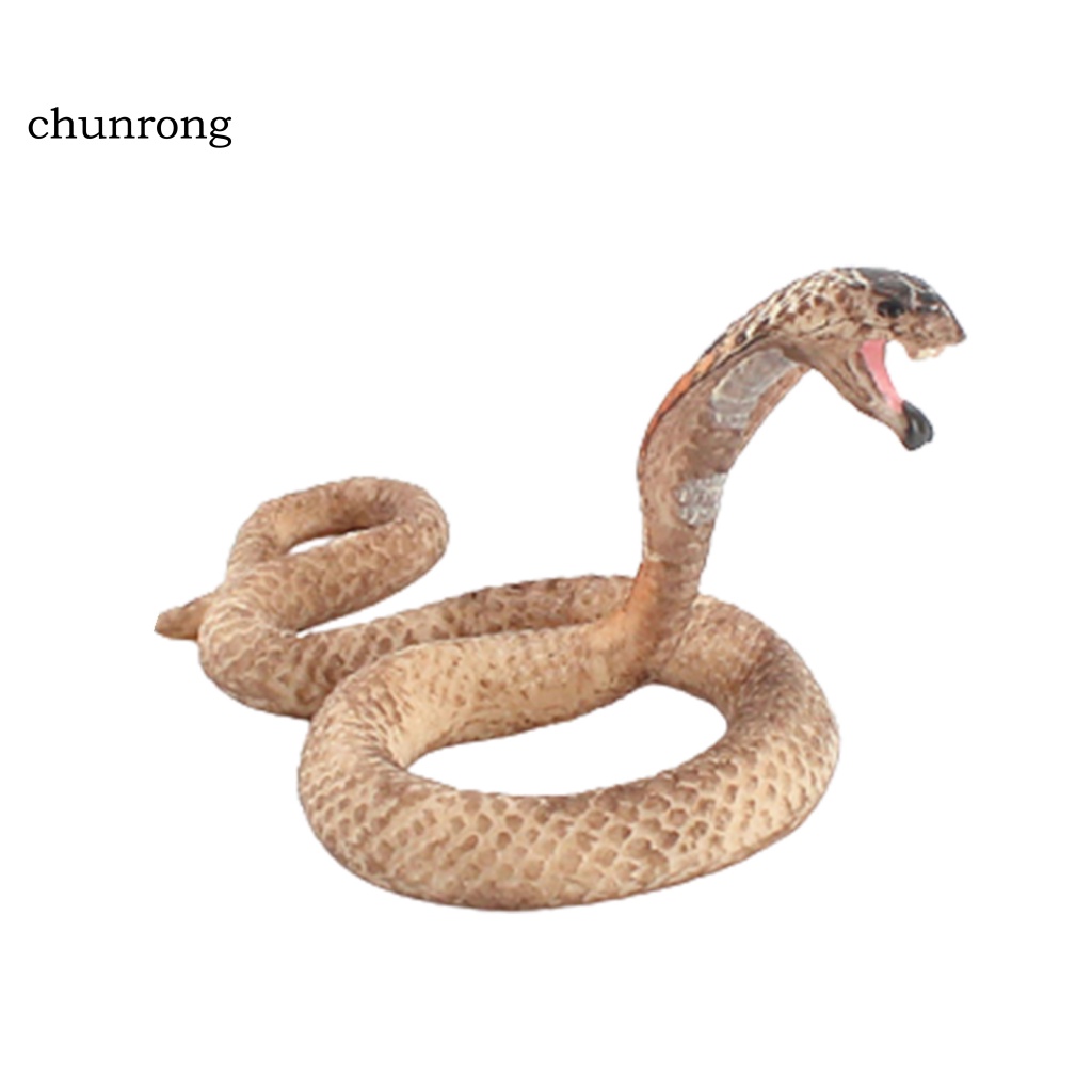 Cr Mô Hình Rắn Đồ Chơi Bằng Nhựa Cho Bé