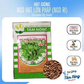 Hạt giống ngò hạt lớn pháp tn-545