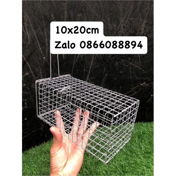 Lồng bẫy chuột,sóc.10x20 chì