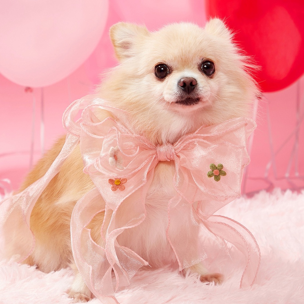 Vòng Cổ Đính Nơ Màu Hồng Thời Trang Cho Thú Cưng